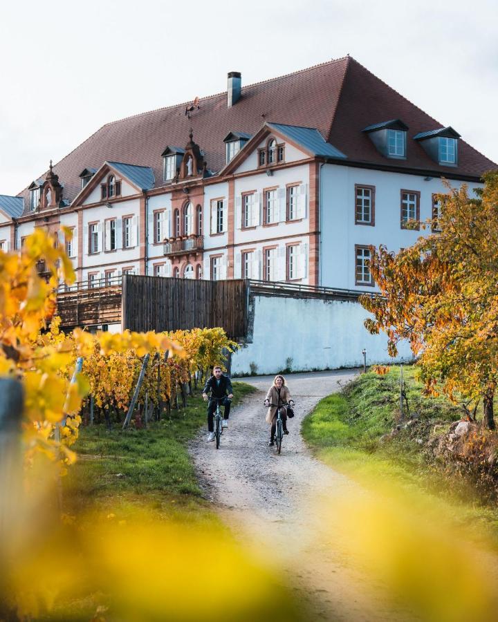 Hotel Val-Vignes Colmar Haut-Koenigsbourg, The Originals Relais Saint-Hippolyte  Exterior photo