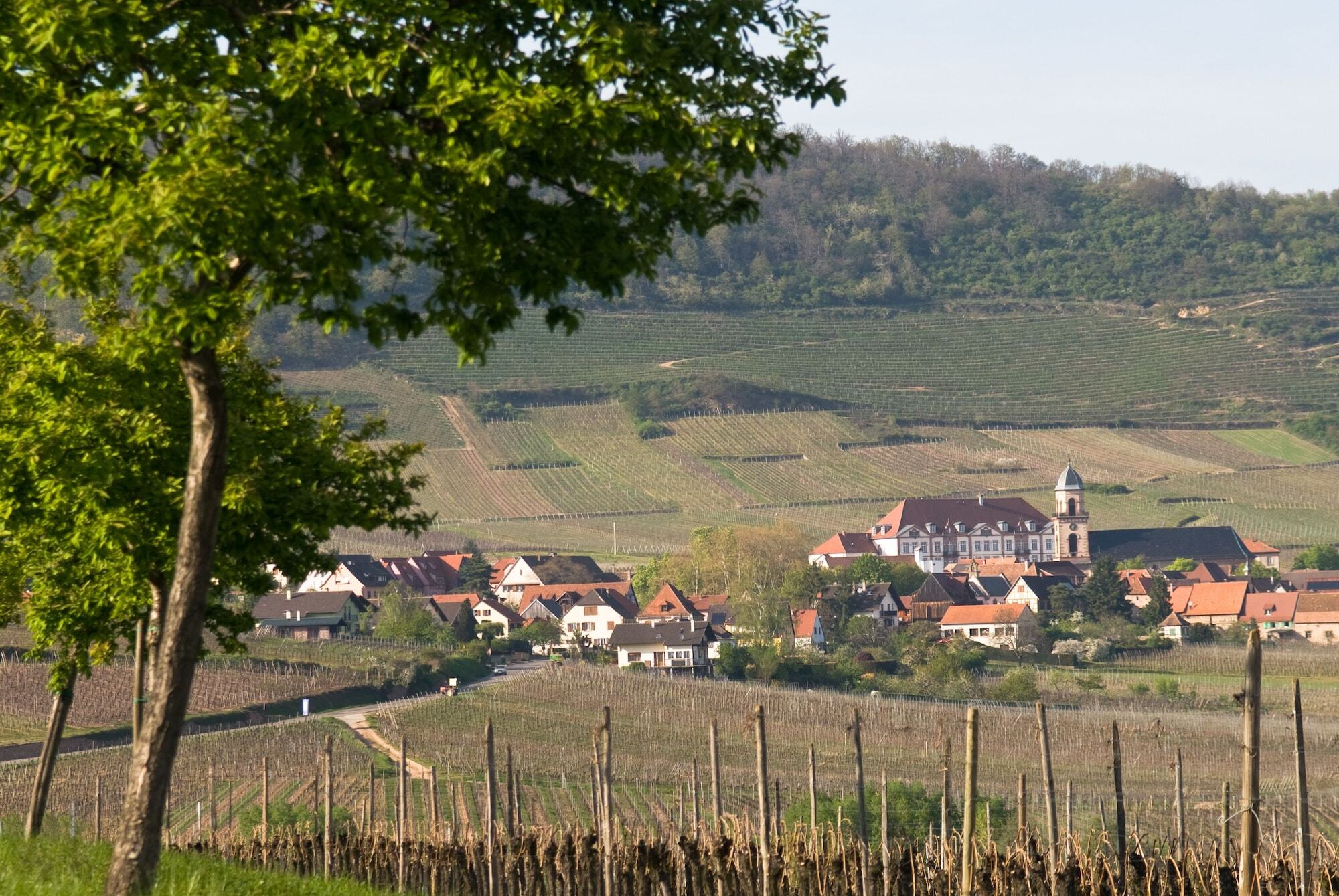 Hotel Val-Vignes Colmar Haut-Koenigsbourg, The Originals Relais Saint-Hippolyte  Exterior photo